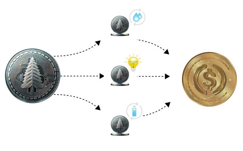 System